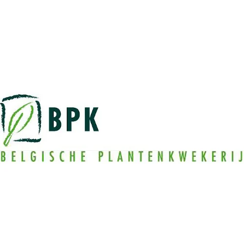 BPK
