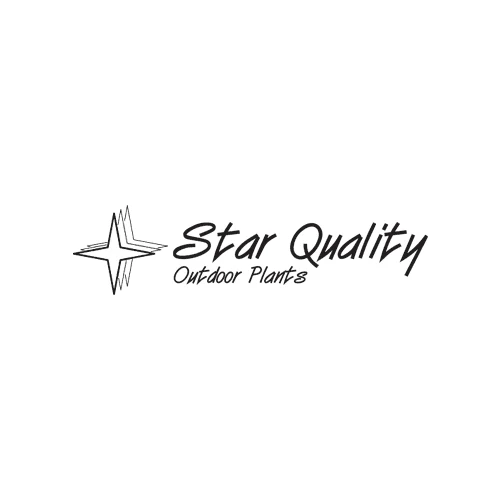 Star Quality