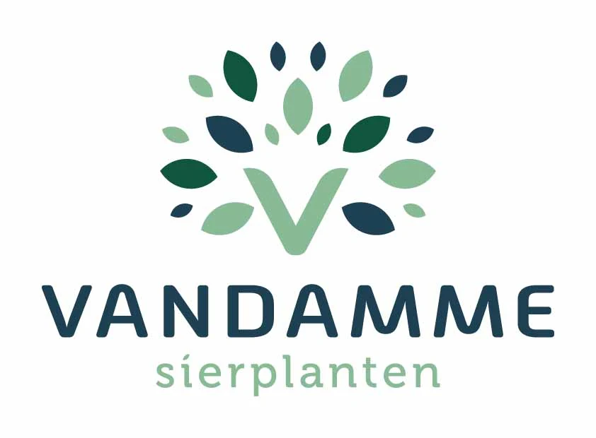 VANDAMME SIERPLANTEN