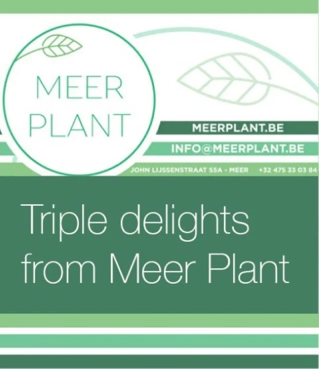 Meer Plant BV